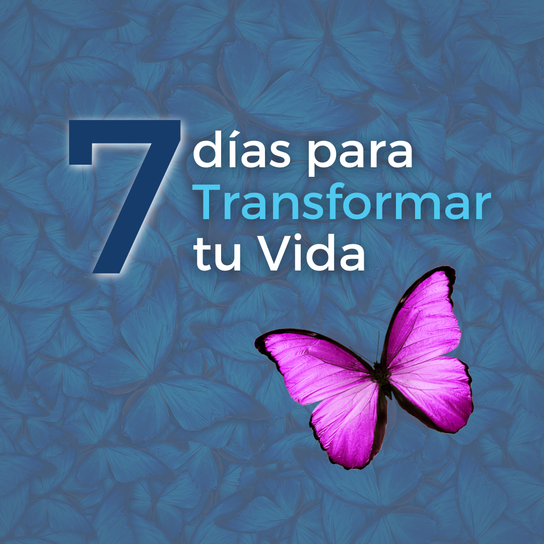 7 dias